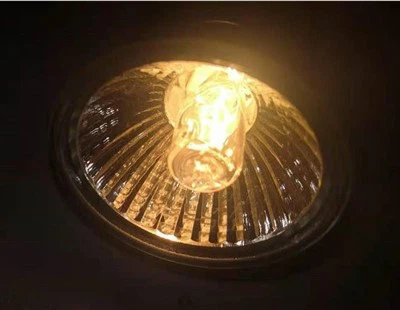 LED reptile Pet Back Lamp